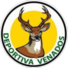 维纳多斯竞技